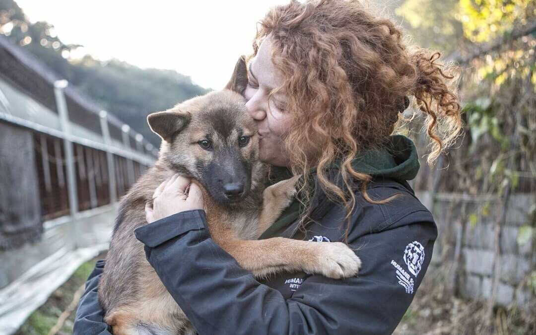 A photo of a Friends of HSI employee holding and kissing a rescue dog