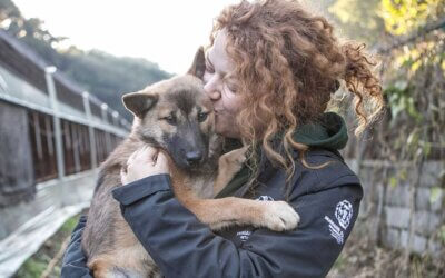 Friends of HSI Helps Rescue 200 Dogs From Horrific South Korean Dog Meat Farm
