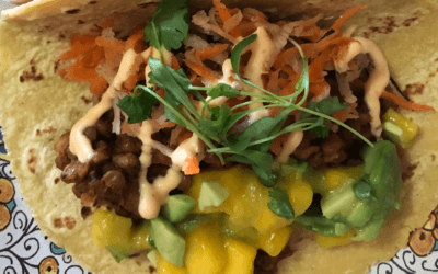 Lentil Walnut Tacos